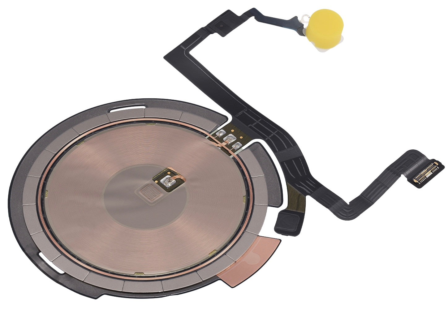 NFC Coil with Flashlight Flex Cable Compatible with iPhone 14 – Internal Wireless Tag + Rear Flash Module | A2881 A2631